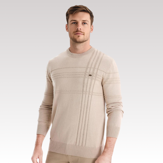 David ™ | Stylish Textured Crew Neck Sweater For Men
