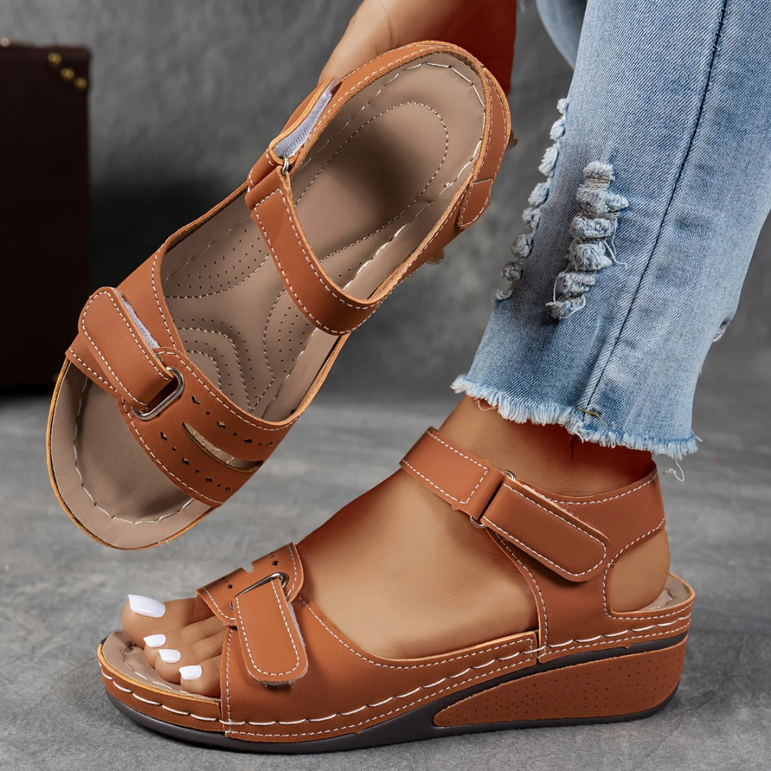 Brown / 11 AU | 42 EU