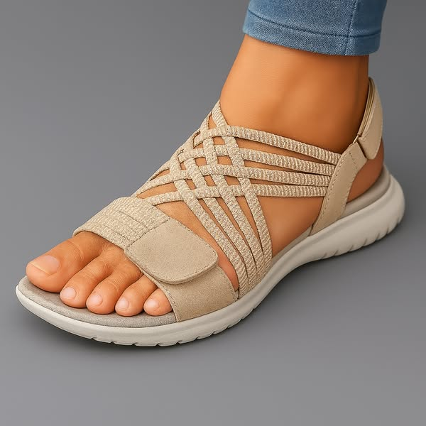Beige / 12