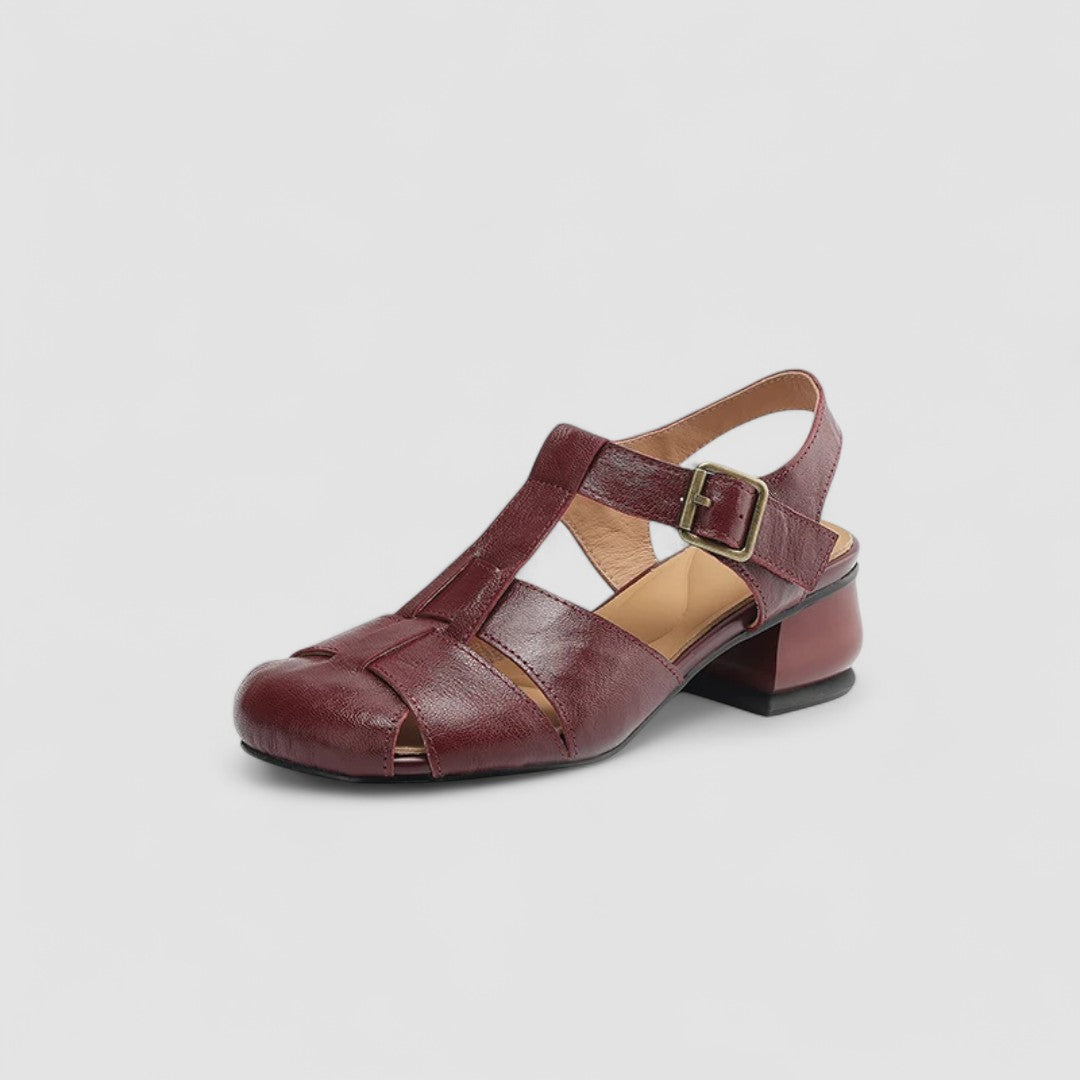 Brown / 12 AU | 43 EU