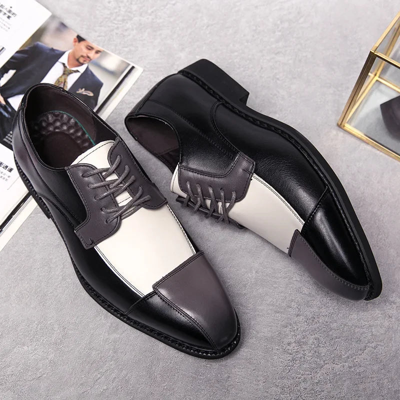 Black / 14 (48 EU)