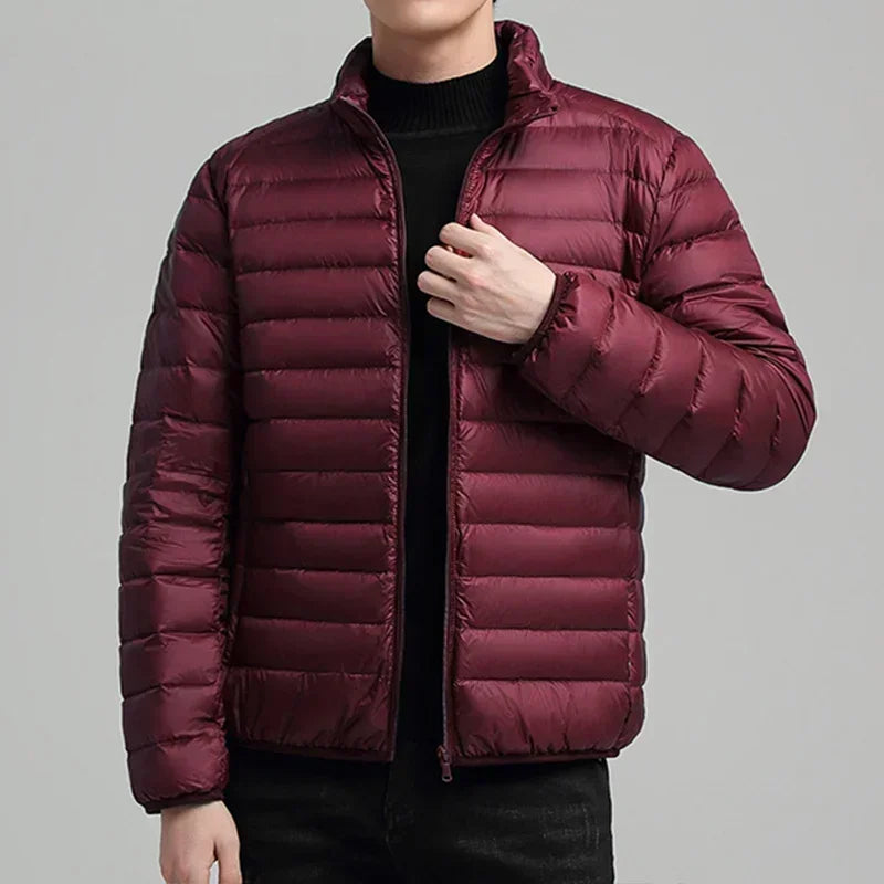 Wine Red / 5XL (24)